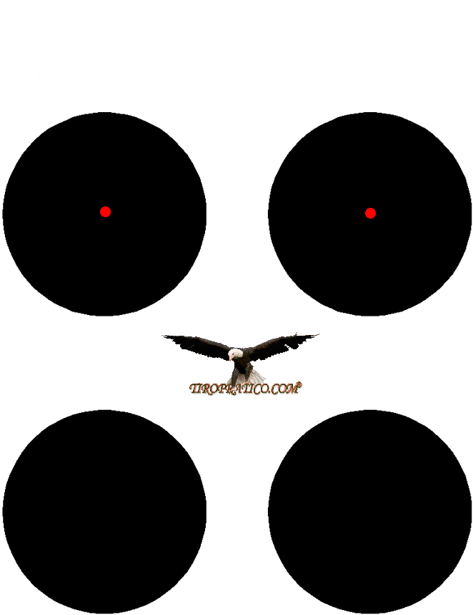 bersaglio ottiche (2).jpg